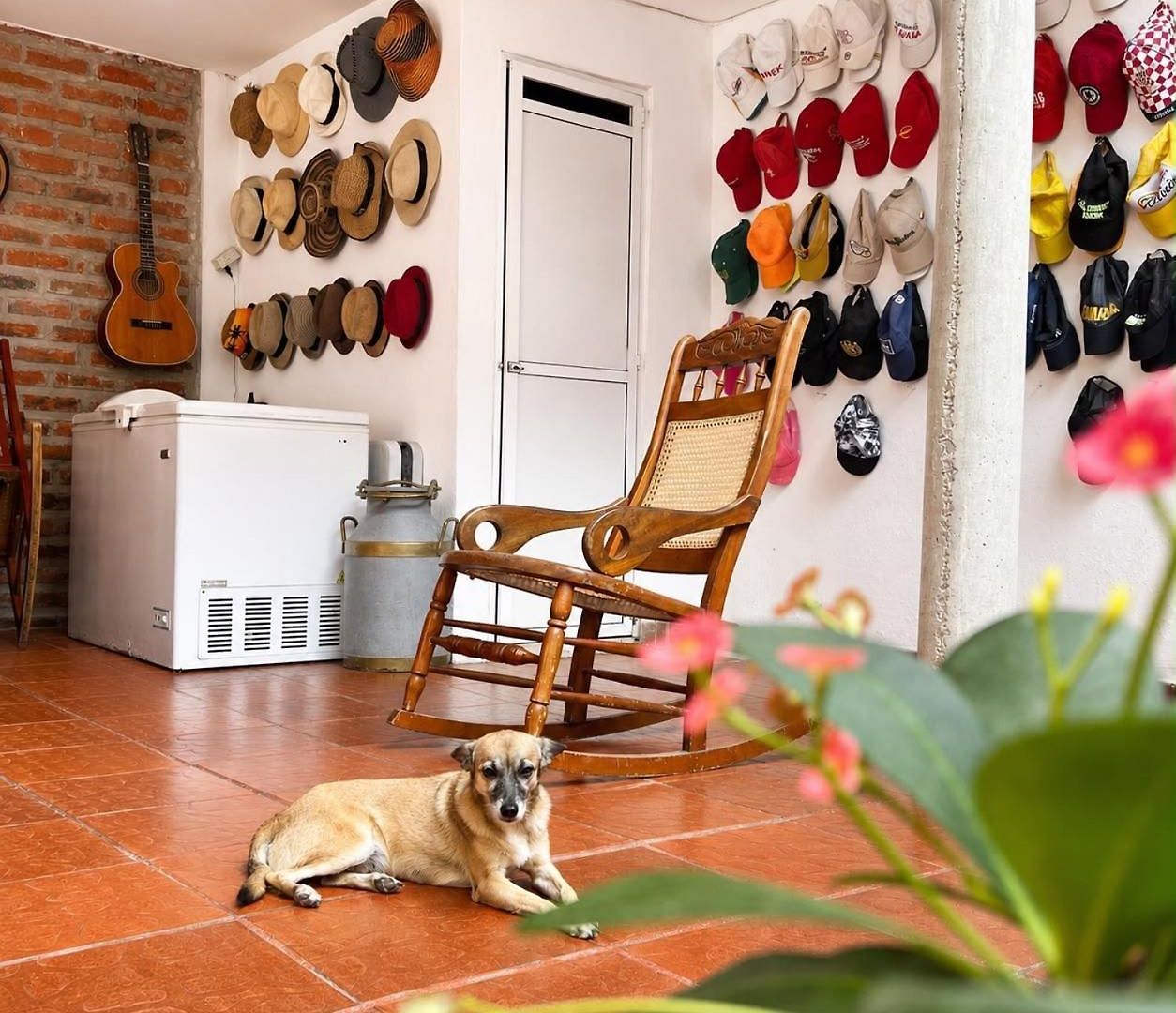 Bed and breakfast Casa Wilson